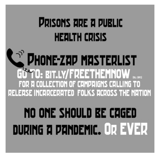 Screen Shot 2020-05-14 at 11.48.38 PM
