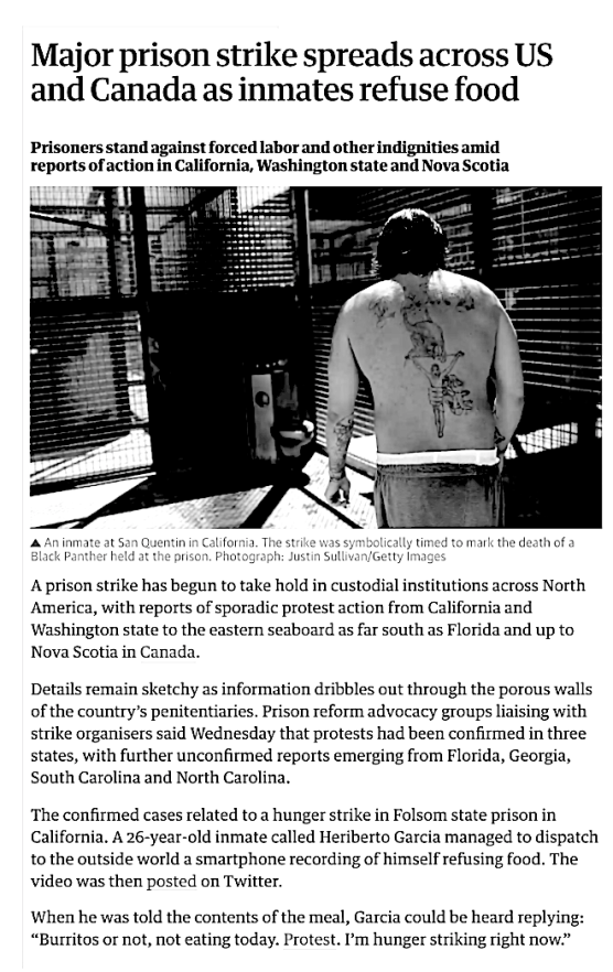 Screen Shot 2020-05-17 at 4.14.04 PM