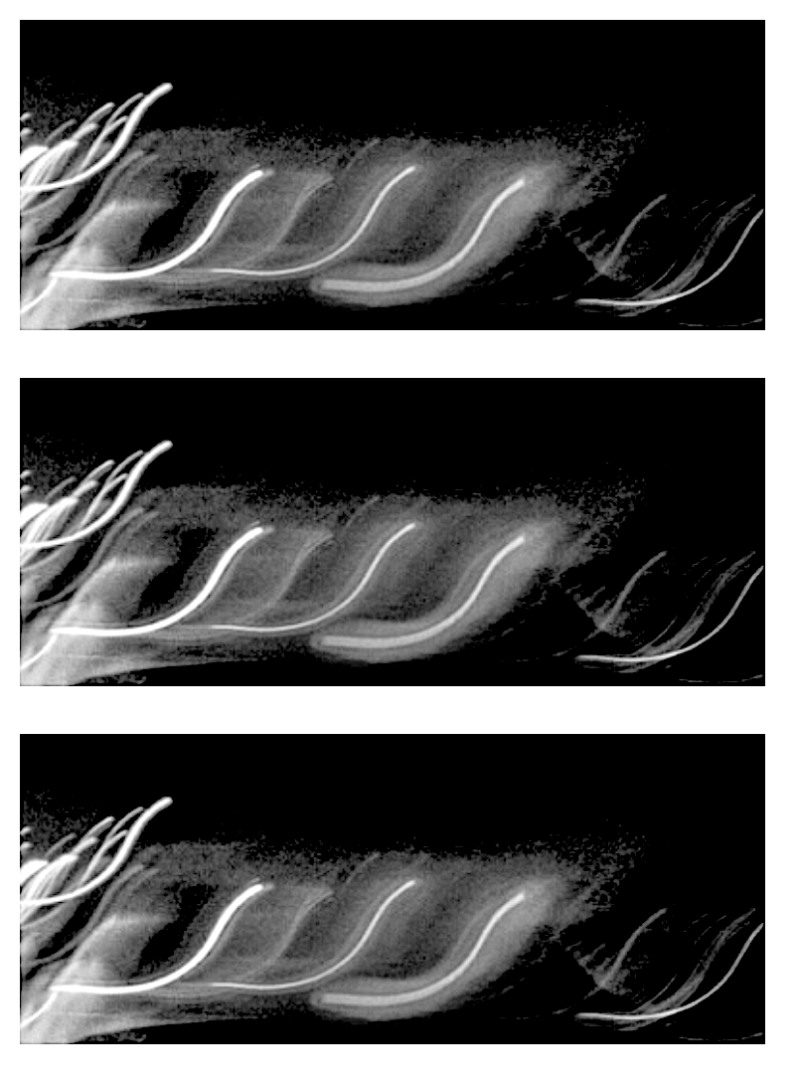 Screen Shot 2020-05-18 at 5.24.11 PM